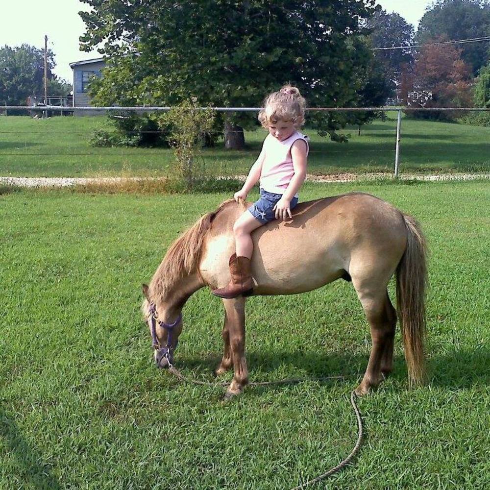 Meet your Posher, Barb